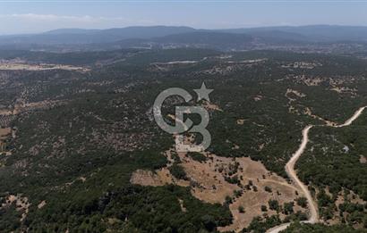 AKKAYA'DA GELİŞEN BÖLGEDE, YATIRIMLIK ORMAN İÇİNDE UYGUN "TARLA"