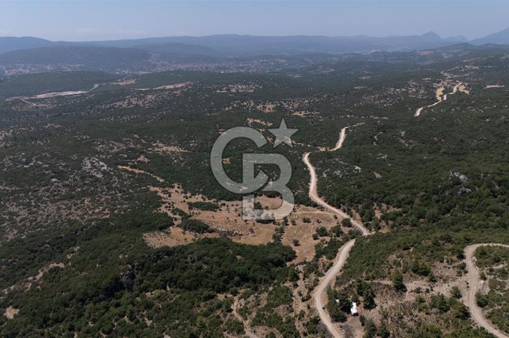 AKKAYA'DA GELİŞEN BÖLGEDE, YATIRIMLIK ORMAN İÇİNDE UYGUN "TARLA"