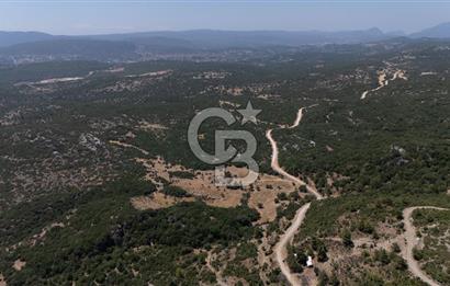 AKKAYA'DA GELİŞEN BÖLGEDE, YATIRIMLIK ORMAN İÇİNDE UYGUN "TARLA"