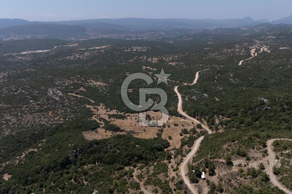 AKKAYA'DA GELİŞEN BÖLGEDE, YATIRIMLIK ORMAN İÇİNDE UYGUN "TARLA"