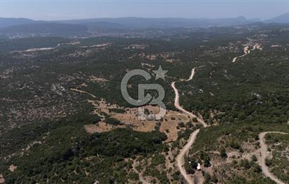 AKKAYA'DA GELİŞEN BÖLGEDE, YATIRIMLIK ORMAN İÇİNDE UYGUN "TARLA"