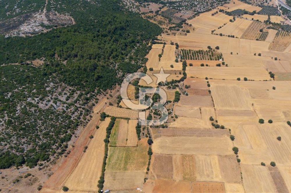 AKKAYA'DA YATIRIM FIRSATI; TARIMA ELVERİŞLİ VERİMLİ "TARLA"