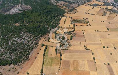 AKKAYA'DA YATIRIM FIRSATI; TARIMA ELVERİŞLİ VERİMLİ "TARLA"
