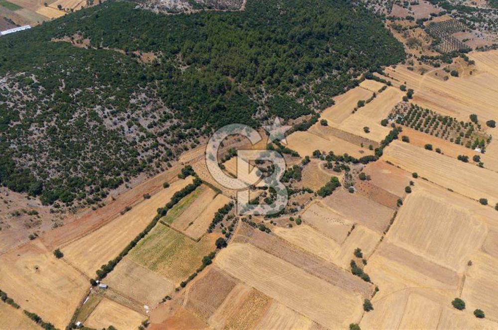 AKKAYA'DA YATIRIM FIRSATI; TARIMA ELVERİŞLİ VERİMLİ "TARLA"