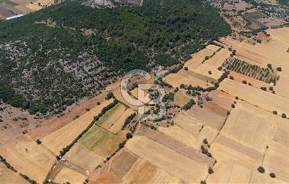 AKKAYA'DA YATIRIM FIRSATI; TARIMA ELVERİŞLİ VERİMLİ "TARLA"