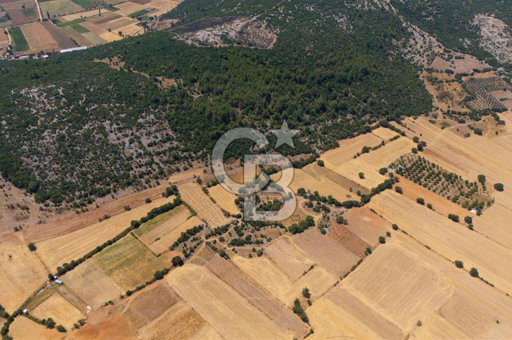 AKKAYA'DA YATIRIM FIRSATI; TARIMA ELVERİŞLİ VERİMLİ "TARLA"