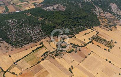 AKKAYA'DA YATIRIM FIRSATI; TARIMA ELVERİŞLİ VERİMLİ "TARLA"