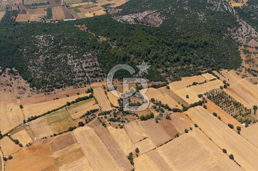 AKKAYA'DA YATIRIM FIRSATI; TARIMA ELVERİŞLİ VERİMLİ "TARLA"