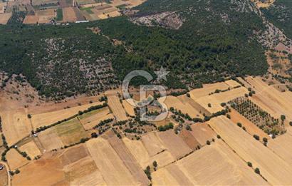 AKKAYA'DA YATIRIM FIRSATI; TARIMA ELVERİŞLİ VERİMLİ "TARLA"