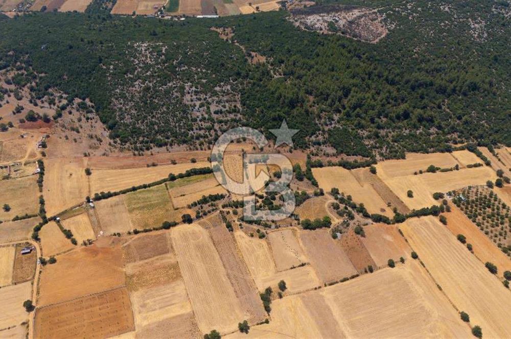 AKKAYA'DA YATIRIM FIRSATI; TARIMA ELVERİŞLİ VERİMLİ "TARLA"