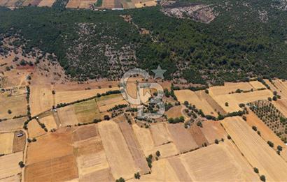 AKKAYA'DA YATIRIM FIRSATI; TARIMA ELVERİŞLİ VERİMLİ "TARLA"