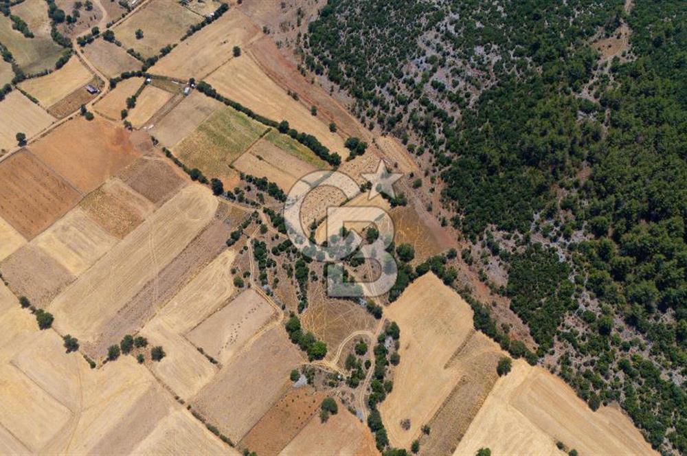 AKKAYA'DA YATIRIM FIRSATI; TARIMA ELVERİŞLİ VERİMLİ "TARLA"