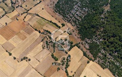 AKKAYA'DA YATIRIM FIRSATI; TARIMA ELVERİŞLİ VERİMLİ "TARLA"