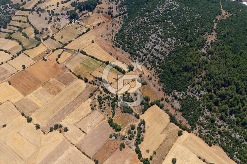 AKKAYA'DA YATIRIM FIRSATI; TARIMA ELVERİŞLİ VERİMLİ "TARLA"