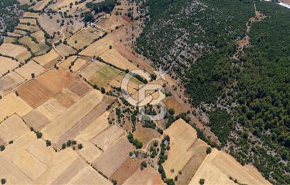AKKAYA'DA YATIRIM FIRSATI; TARIMA ELVERİŞLİ VERİMLİ "TARLA"