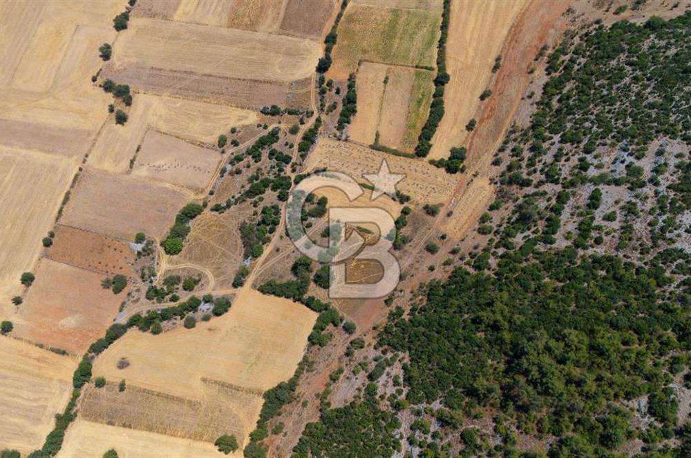 AKKAYA'DA YATIRIM FIRSATI; TARIMA ELVERİŞLİ VERİMLİ "TARLA"