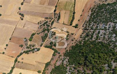 AKKAYA'DA YATIRIM FIRSATI; TARIMA ELVERİŞLİ VERİMLİ "TARLA"