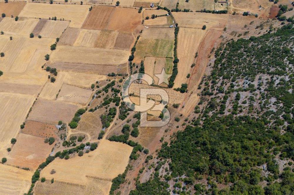 AKKAYA'DA YATIRIM FIRSATI; TARIMA ELVERİŞLİ VERİMLİ "TARLA"