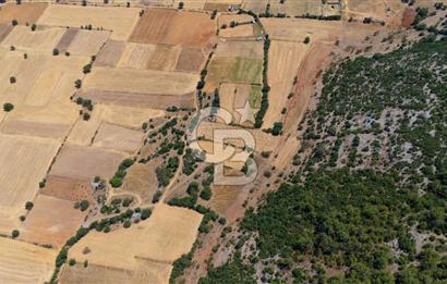 AKKAYA'DA YATIRIM FIRSATI; TARIMA ELVERİŞLİ VERİMLİ "TARLA"