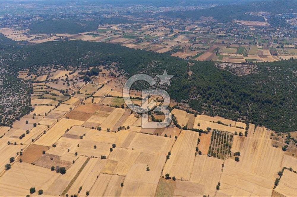 AKKAYA'DA YATIRIM FIRSATI; TARIMA ELVERİŞLİ VERİMLİ "TARLA"