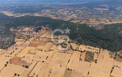 AKKAYA'DA YATIRIM FIRSATI; TARIMA ELVERİŞLİ VERİMLİ "TARLA"