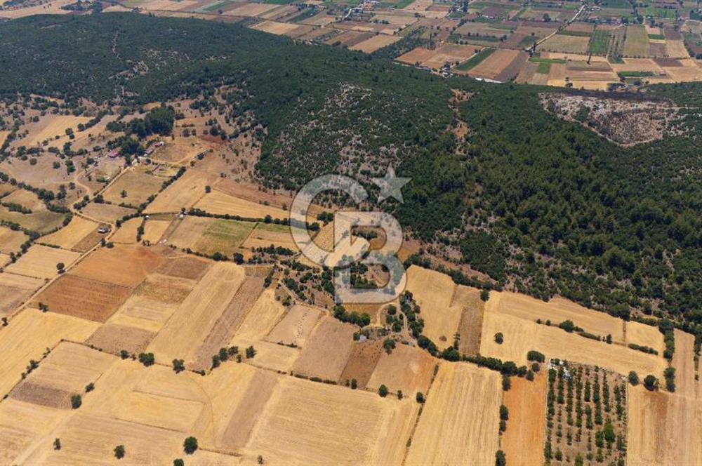 AKKAYA'DA YATIRIM FIRSATI; TARIMA ELVERİŞLİ VERİMLİ "TARLA"