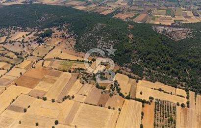 AKKAYA'DA YATIRIM FIRSATI; TARIMA ELVERİŞLİ VERİMLİ "TARLA"