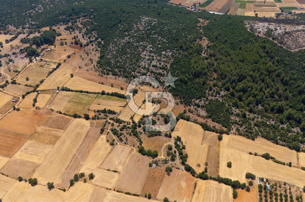 AKKAYA'DA YATIRIM FIRSATI; TARIMA ELVERİŞLİ VERİMLİ "TARLA"