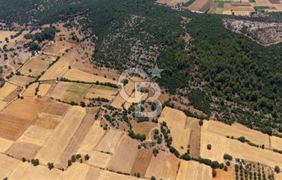AKKAYA'DA YATIRIM FIRSATI; TARIMA ELVERİŞLİ VERİMLİ "TARLA"