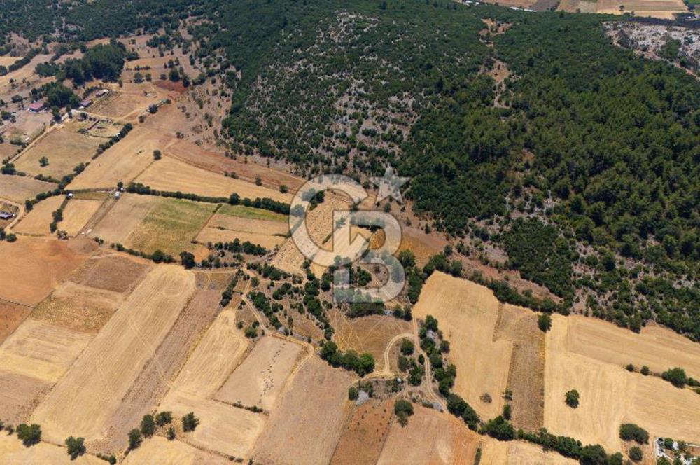 AKKAYA'DA YATIRIM FIRSATI; TARIMA ELVERİŞLİ VERİMLİ "TARLA"