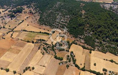 AKKAYA'DA YATIRIM FIRSATI; TARIMA ELVERİŞLİ VERİMLİ "TARLA"