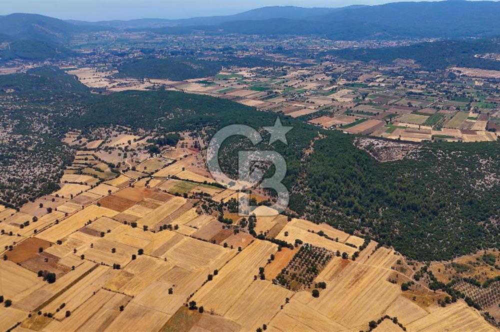 AKKAYA'DA YATIRIM FIRSATI; TARIMA ELVERİŞLİ VERİMLİ "TARLA"