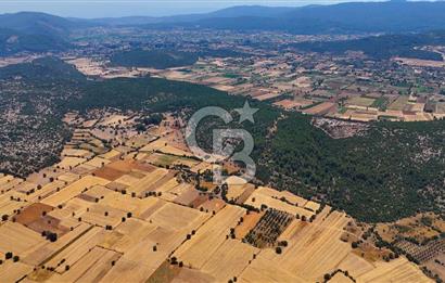 AKKAYA'DA YATIRIM FIRSATI; TARIMA ELVERİŞLİ VERİMLİ "TARLA"