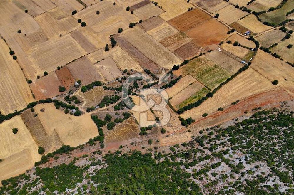 AKKAYA'DA YATIRIM FIRSATI; TARIMA ELVERİŞLİ VERİMLİ "TARLA"