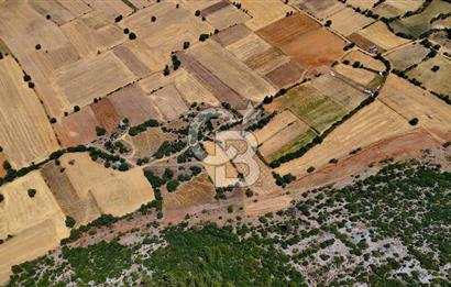 AKKAYA'DA YATIRIM FIRSATI; TARIMA ELVERİŞLİ VERİMLİ "TARLA"