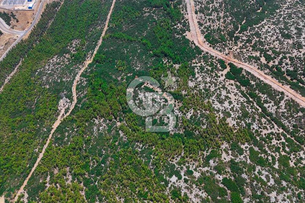 AKKAYA YENİ SANAYİ SİT. - KONUT ALANINA YAKIN YATIRIMLIK "TARLA"