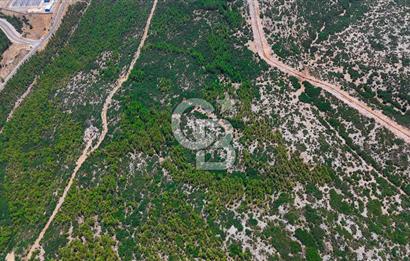 AKKAYA YENİ SANAYİ SİT. - KONUT ALANINA YAKIN YATIRIMLIK "TARLA"