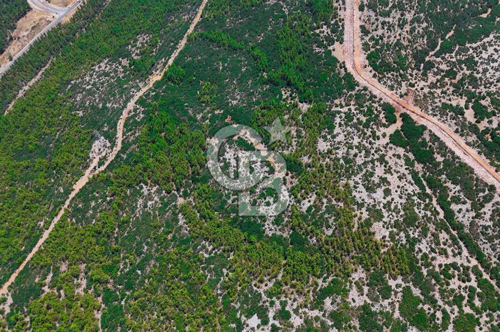 AKKAYA YENİ SANAYİ SİT. - KONUT ALANINA YAKIN YATIRIMLIK "TARLA"