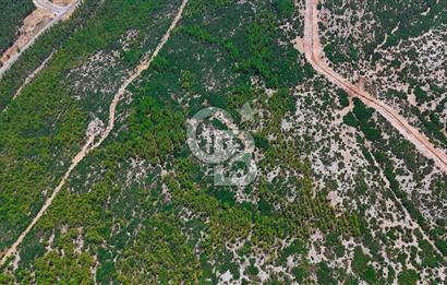 AKKAYA YENİ SANAYİ SİT. - KONUT ALANINA YAKIN YATIRIMLIK "TARLA"