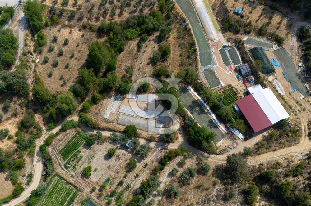 ESENÇAY'DA DOĞAL-KÖY YAŞAMI İSTEYENLERE YATIRIM FIRSATI "TARLA"