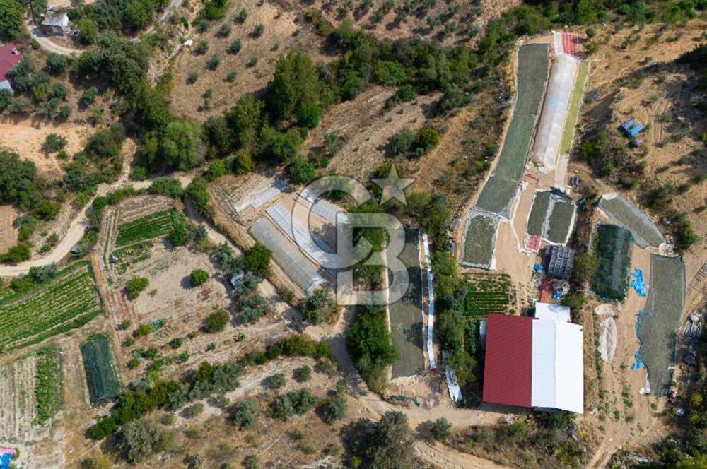 ESENÇAY'DA DOĞAL-KÖY YAŞAMI İSTEYENLERE YATIRIM FIRSATI "TARLA"