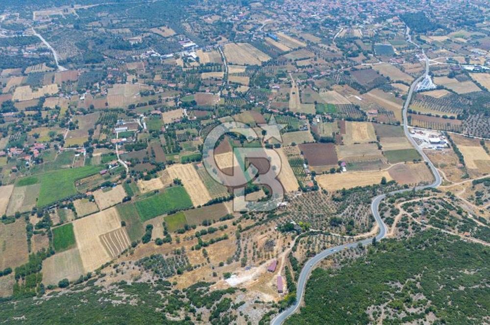 YERKESİK'TE YERLEŞİM ALANI İÇİNDE YATIRIMLIK "TARLA"