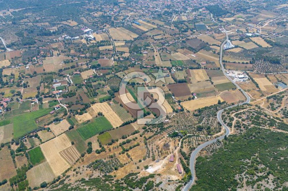 YERKESİK'TE YERLEŞİM ALANI İÇİNDE YATIRIMLIK "TARLA"