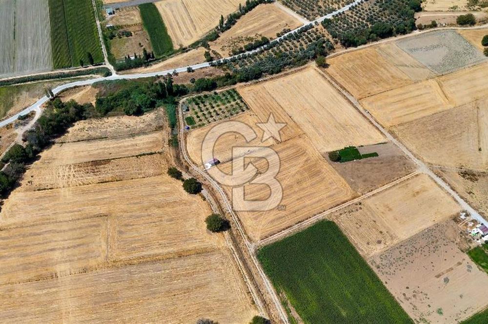 CB MARİNA'DAN YATAĞAN OVASINDA SATILIK 3.900 M2 SATILIK "TARLA"