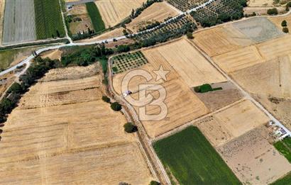 CB MARİNA'DAN YATAĞAN OVASINDA SATILIK 3.900 M2 SATILIK "TARLA"