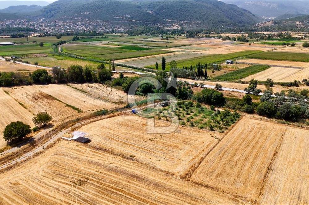 CB MARİNA'DAN YATAĞAN OVASINDA SATILIK 3.900 M2 SATILIK "TARLA"