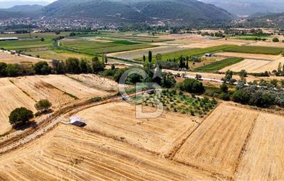 CB MARİNA'DAN YATAĞAN OVASINDA SATILIK 3.900 M2 SATILIK "TARLA"
