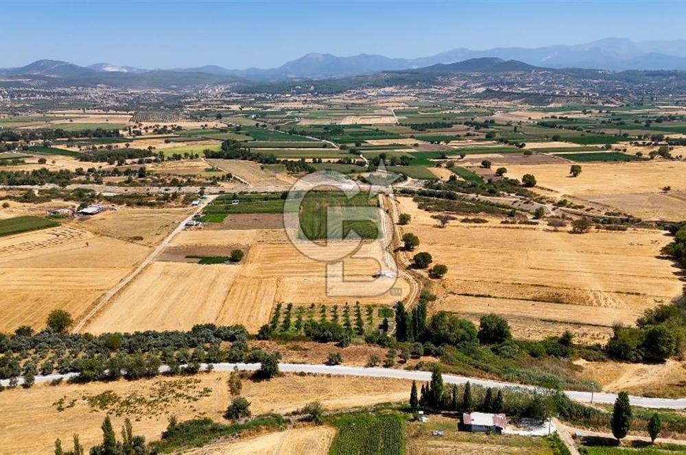 CB MARİNA'DAN YATAĞAN OVASINDA SATILIK 3.900 M2 SATILIK "TARLA"