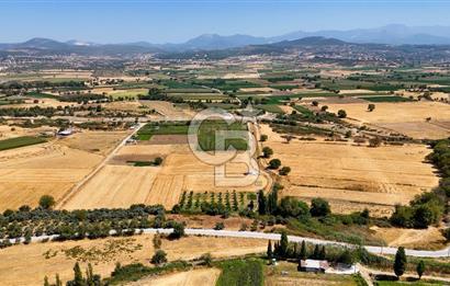 CB MARİNA'DAN YATAĞAN OVASINDA SATILIK 3.900 M2 SATILIK "TARLA"