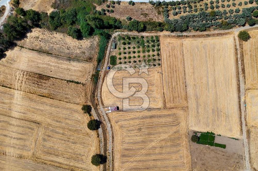CB MARİNA'DAN YATAĞAN OVASINDA SATILIK 3.900 M2 SATILIK "TARLA"